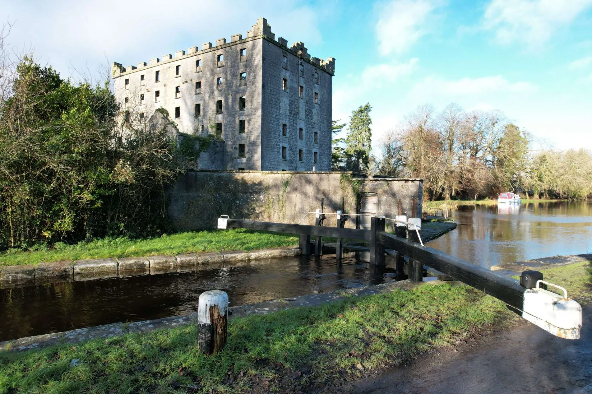 Birdwatching While Hiking: Identifying Irish Birds on the Trail