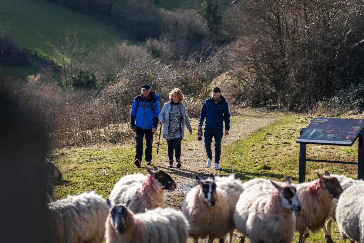 Walking holiday Ireland — gallery image 3