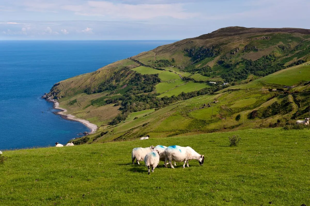Walking holiday Ireland — gallery image 12
