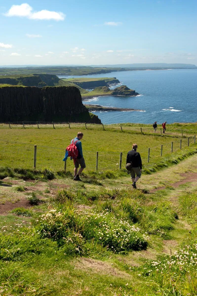 Coastal path along the Causeway Coast, County Antrim