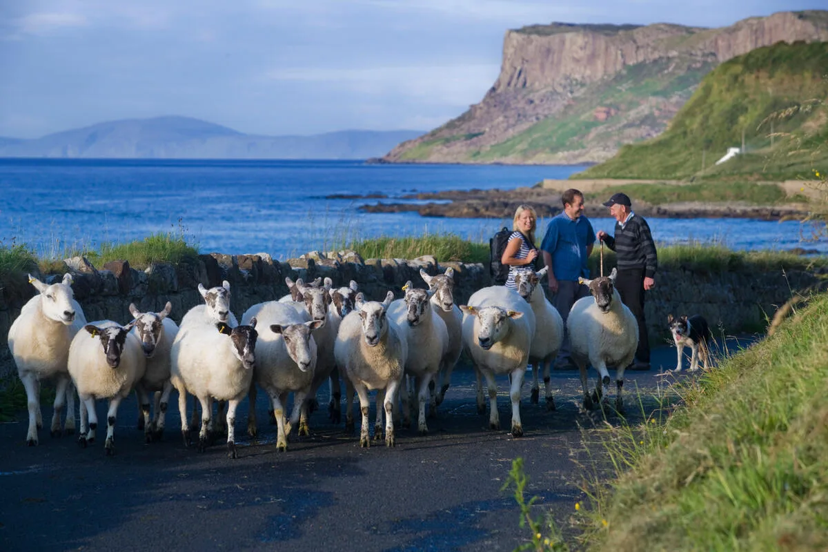 Walking holiday Ireland — gallery image 1