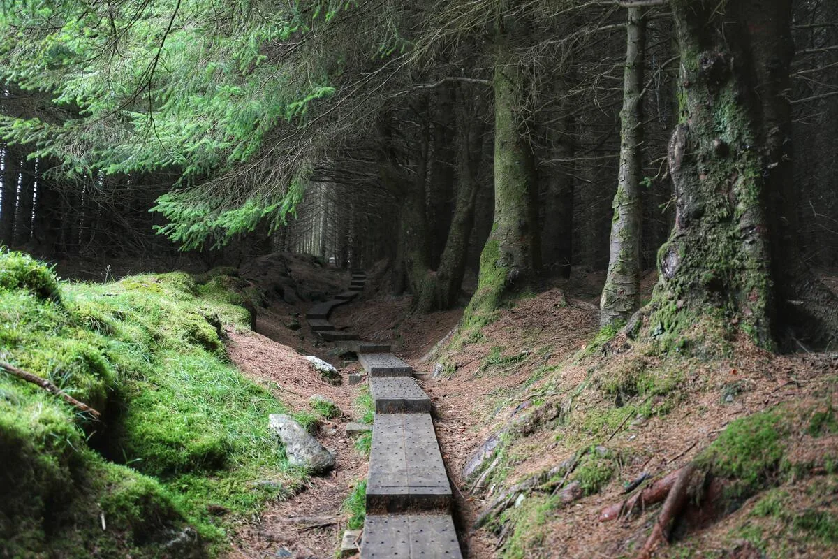 Walking holiday Ireland — gallery image 8