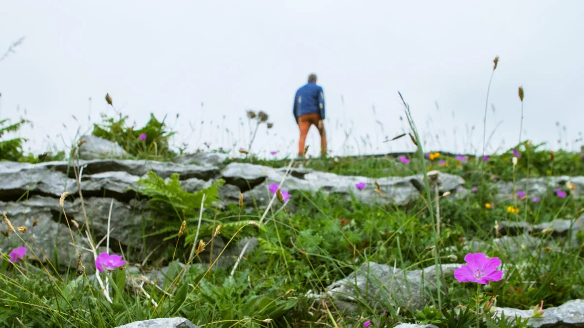 The Aran Islands (Optional Ferry Day)