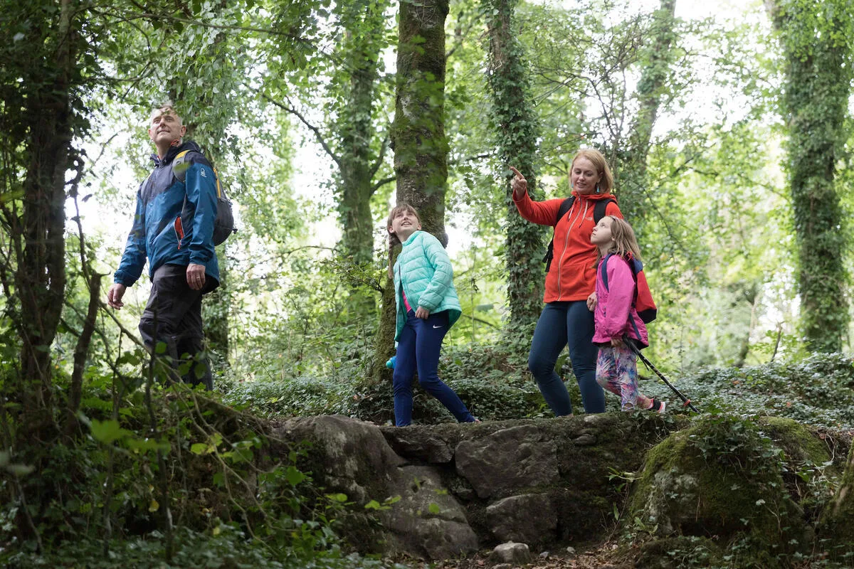 Walking holiday Ireland — gallery image 4