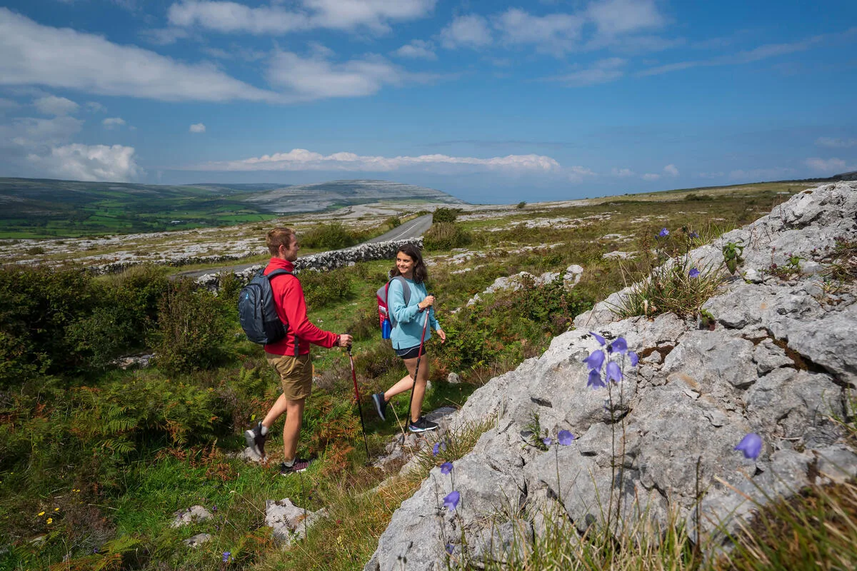 The Burren's Hidden Geology & Flora