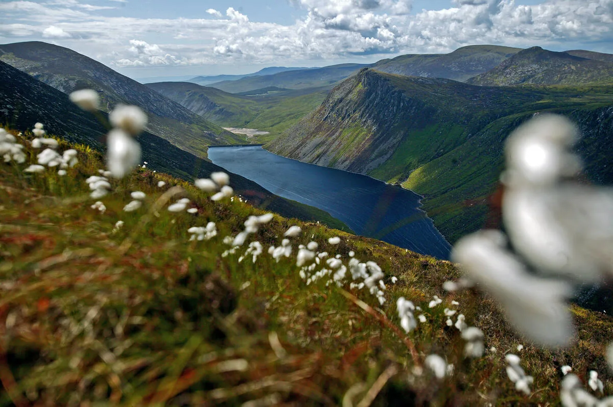 Walking holiday Ireland — gallery image 18