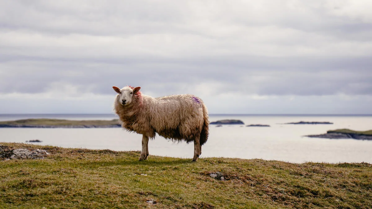 Famine Roads Ireland: Where to Walk These Historic Trails