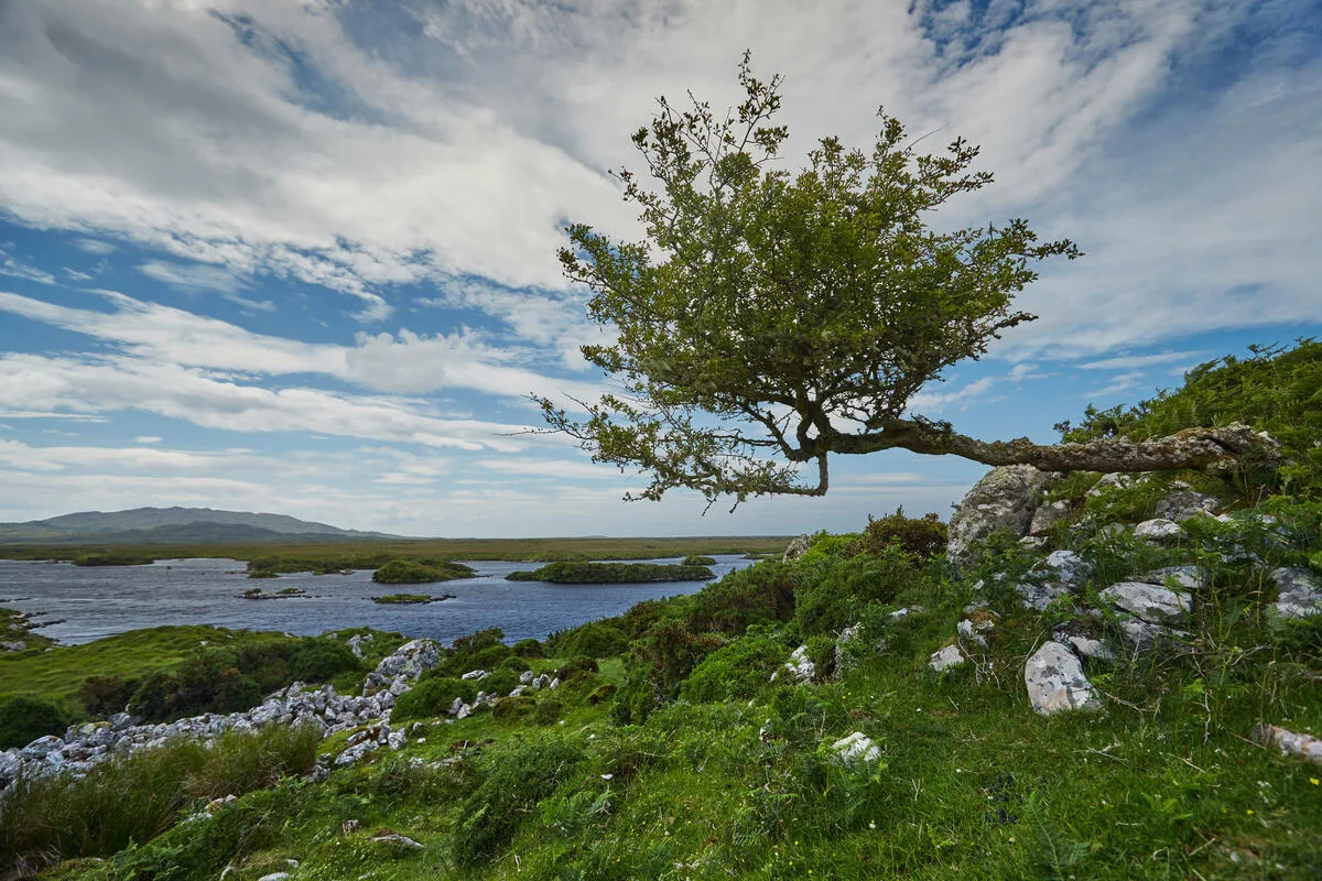 Connemara landscape in County Galway showing mountains, bog, and the Atlantic — typical scenery near the national park