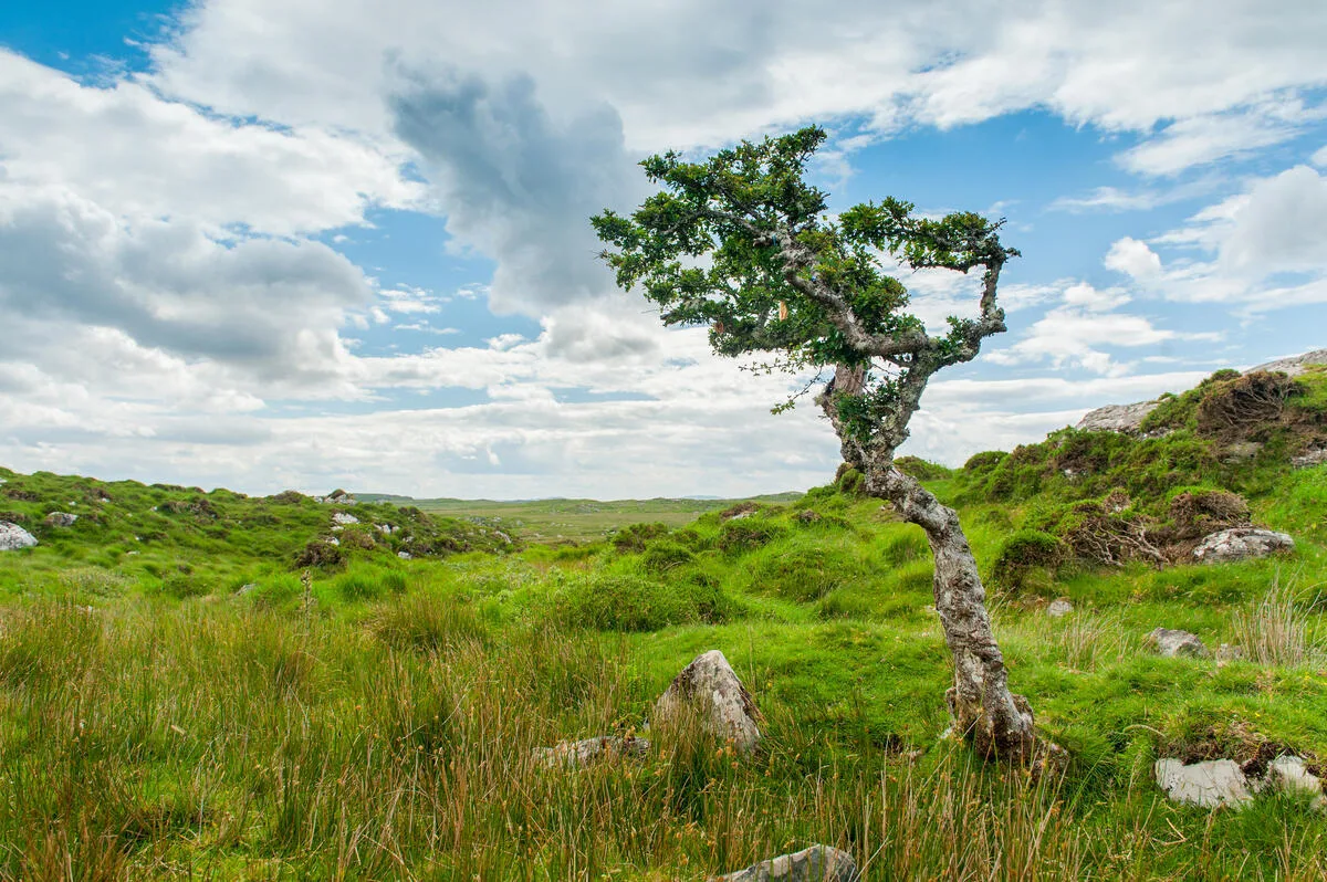 Walking holiday Ireland — gallery image 4