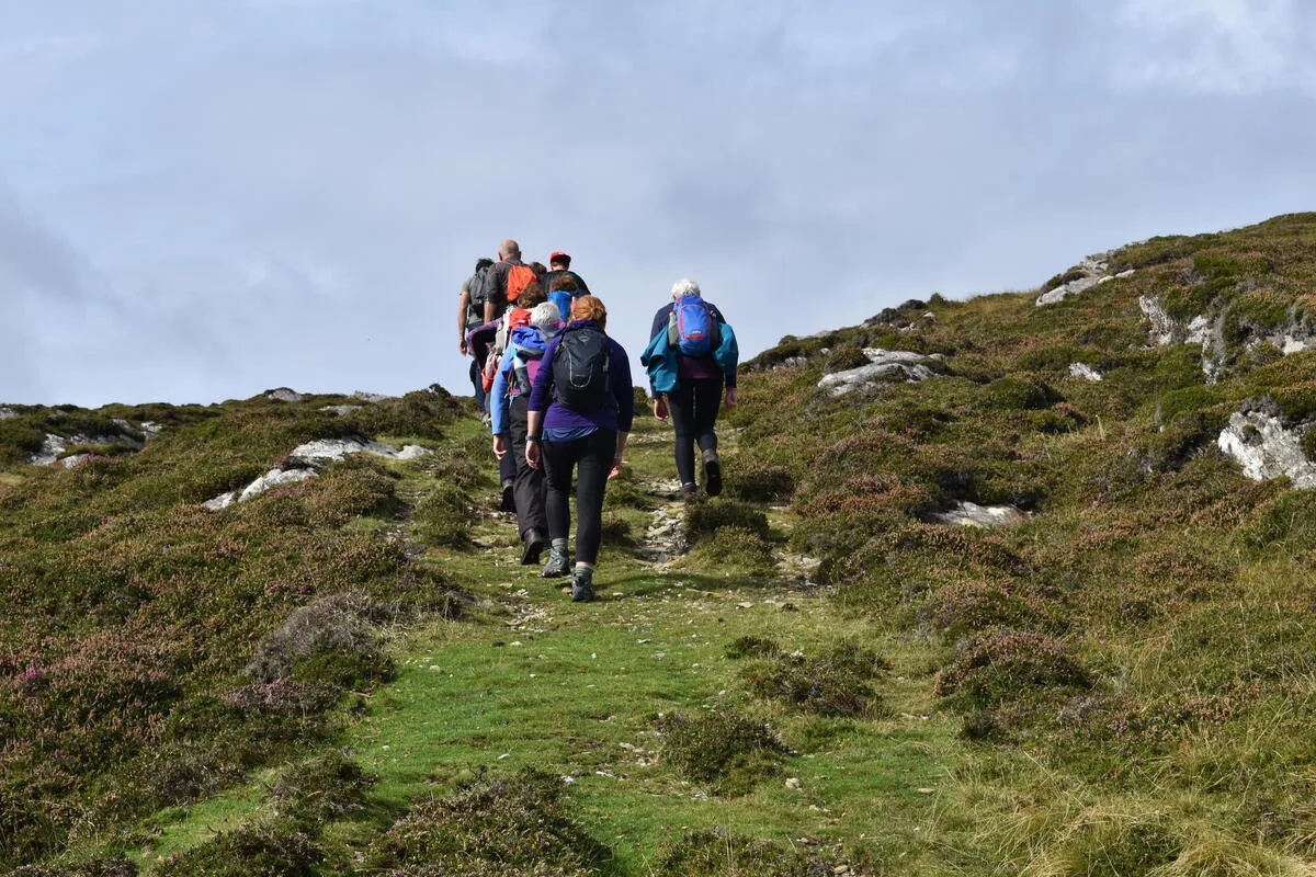 Walking holiday Ireland — gallery image 7