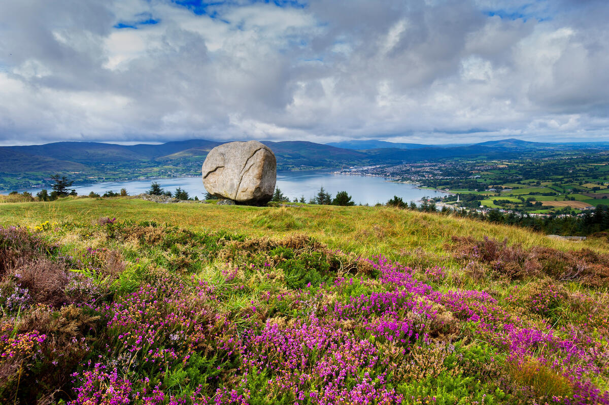 Rostrevor