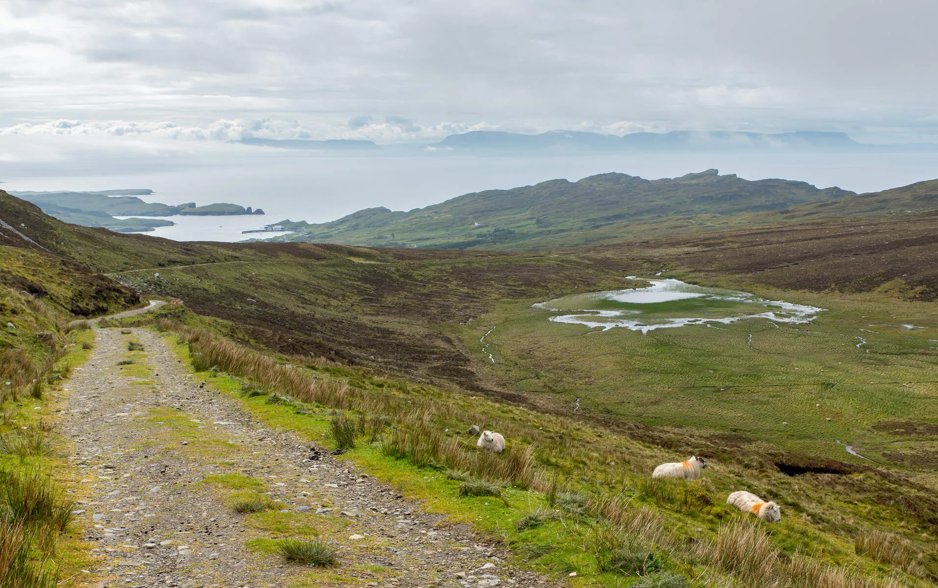 Walking holiday Ireland — gallery image 8