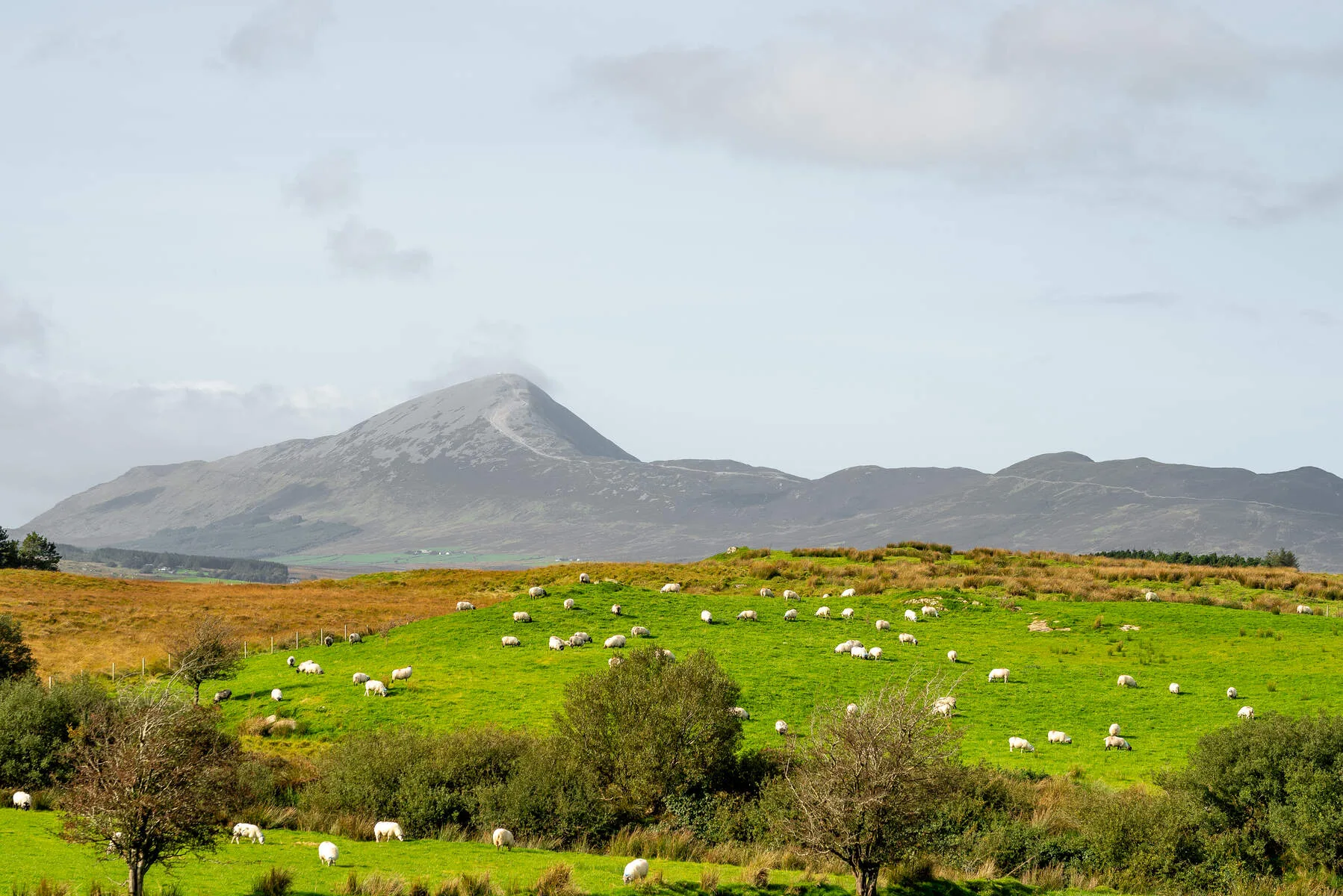 Tóchar Phádraig pilgrim path near Croagh Patrick, County Mayo