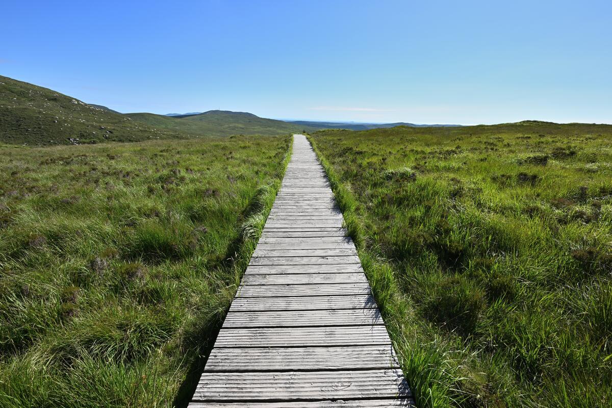 Walking Holidays in Ireland for Over 50s: At Your Own Pace