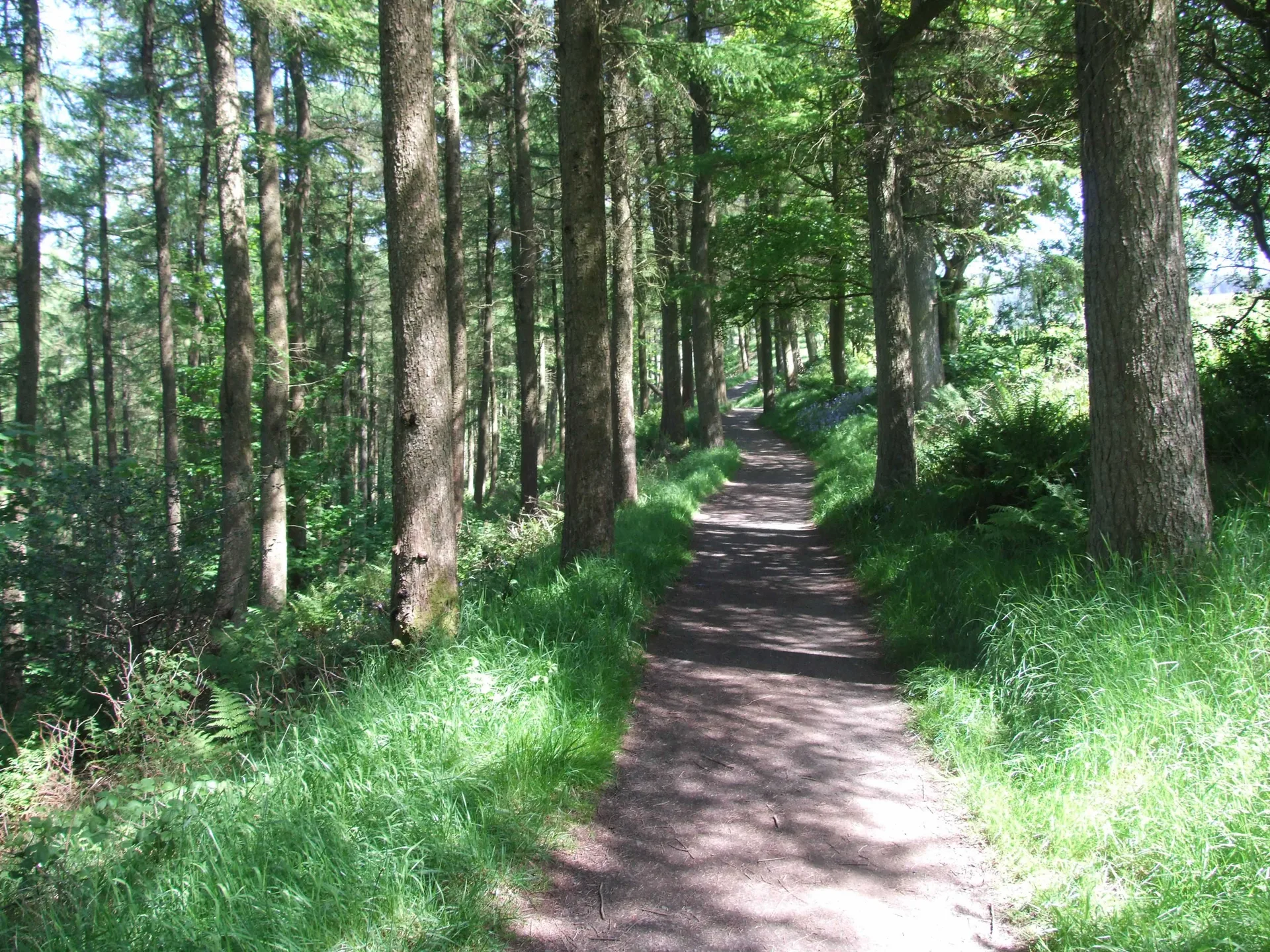 The Moyle Way — Antrim's hidden mountain trail