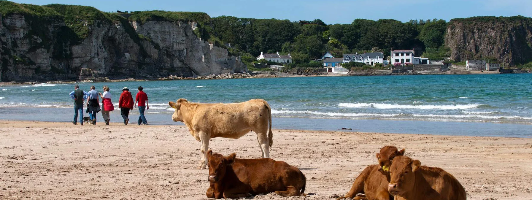 Causeway Coast Way Walking Guide: Complete Trail Guide
