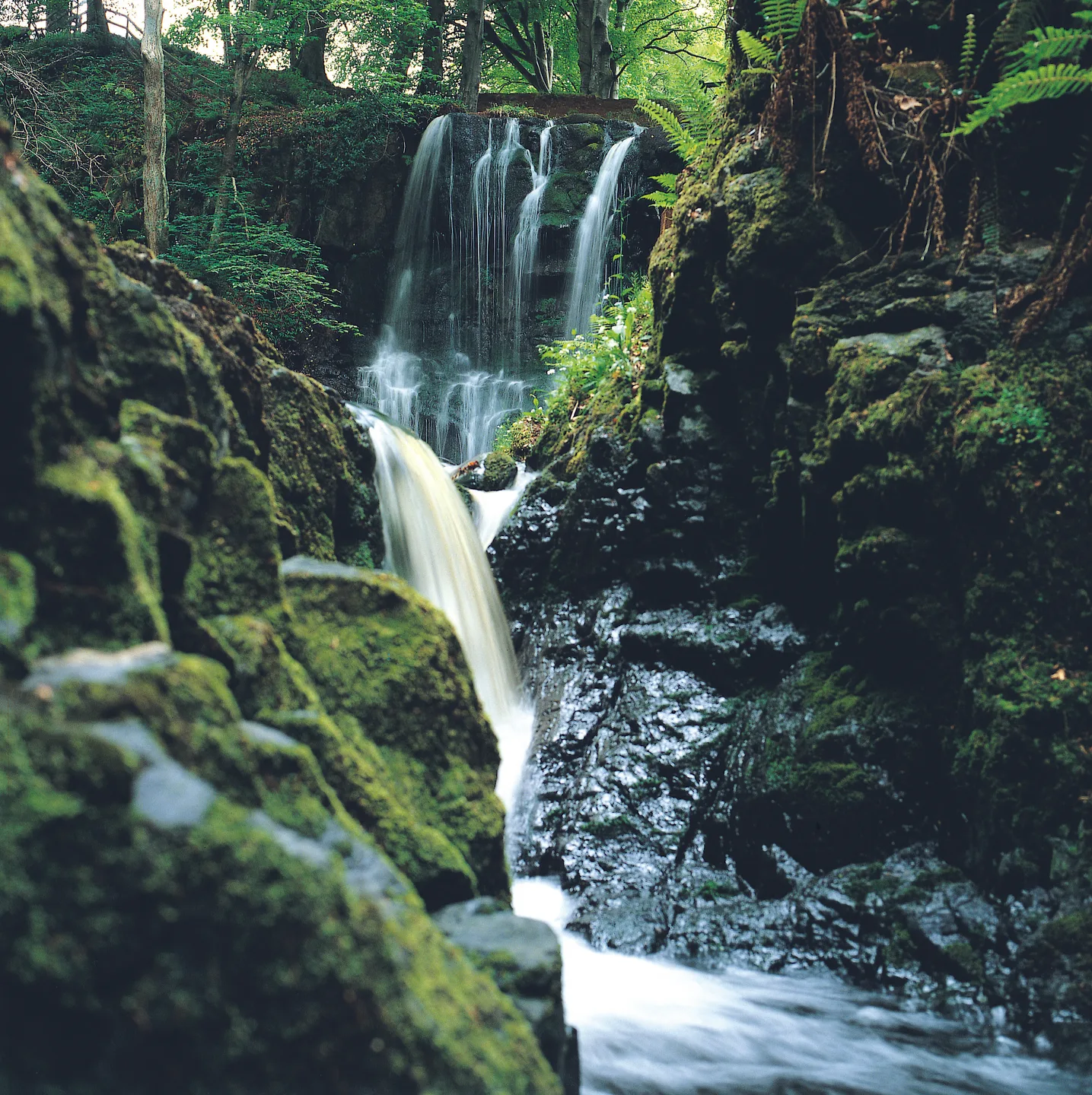 Glenariff Forest Park