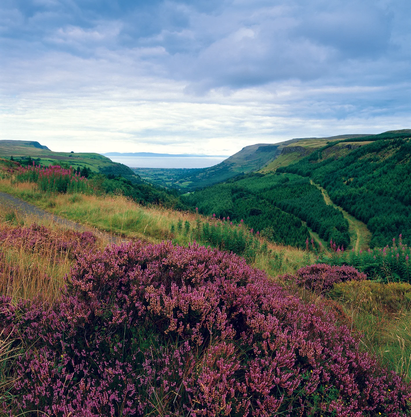 Walking holiday Ireland — gallery image 2