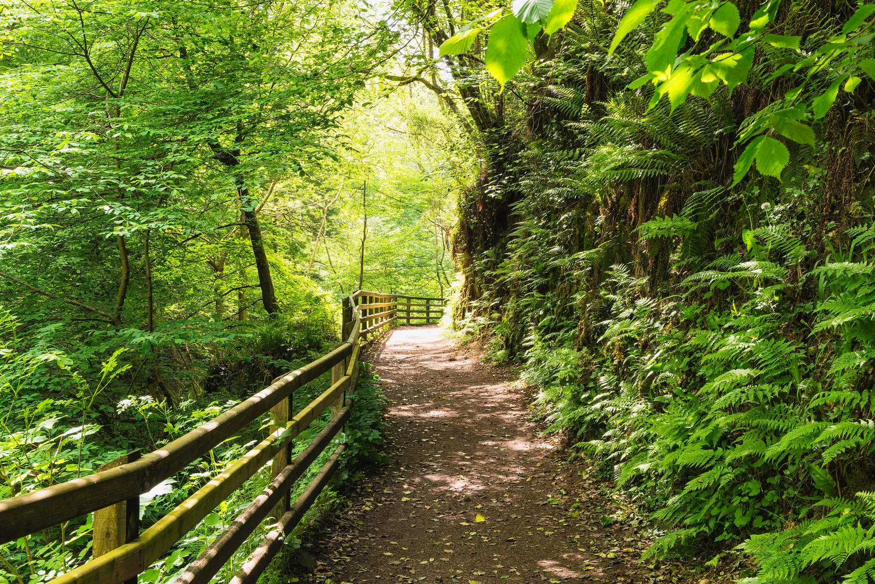 Walking holiday Ireland — gallery image 8