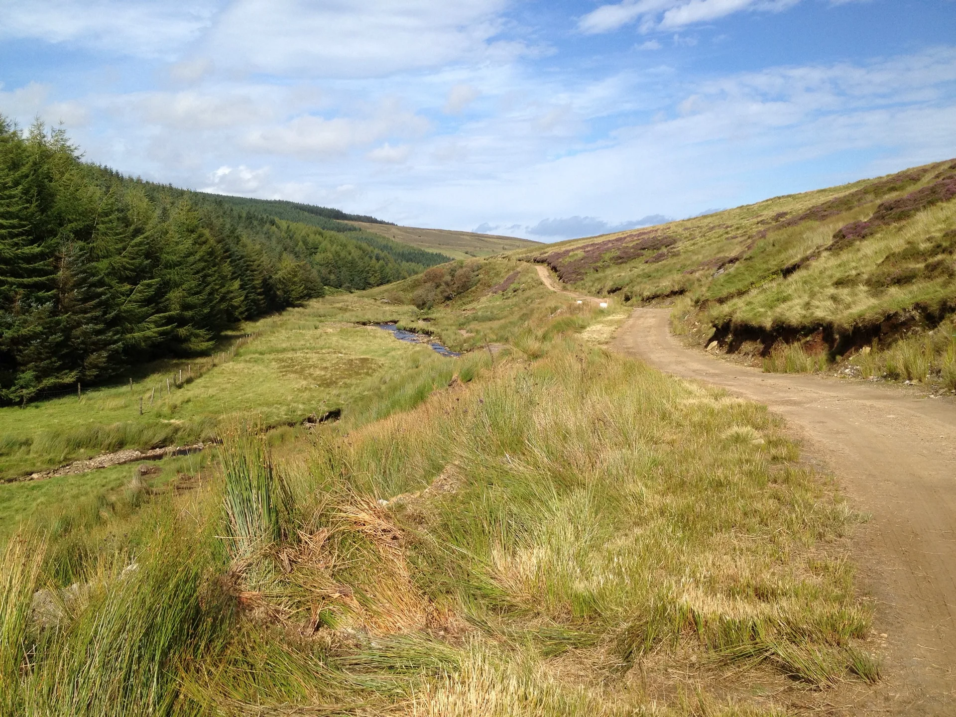 Walking holiday Ireland — gallery image 6