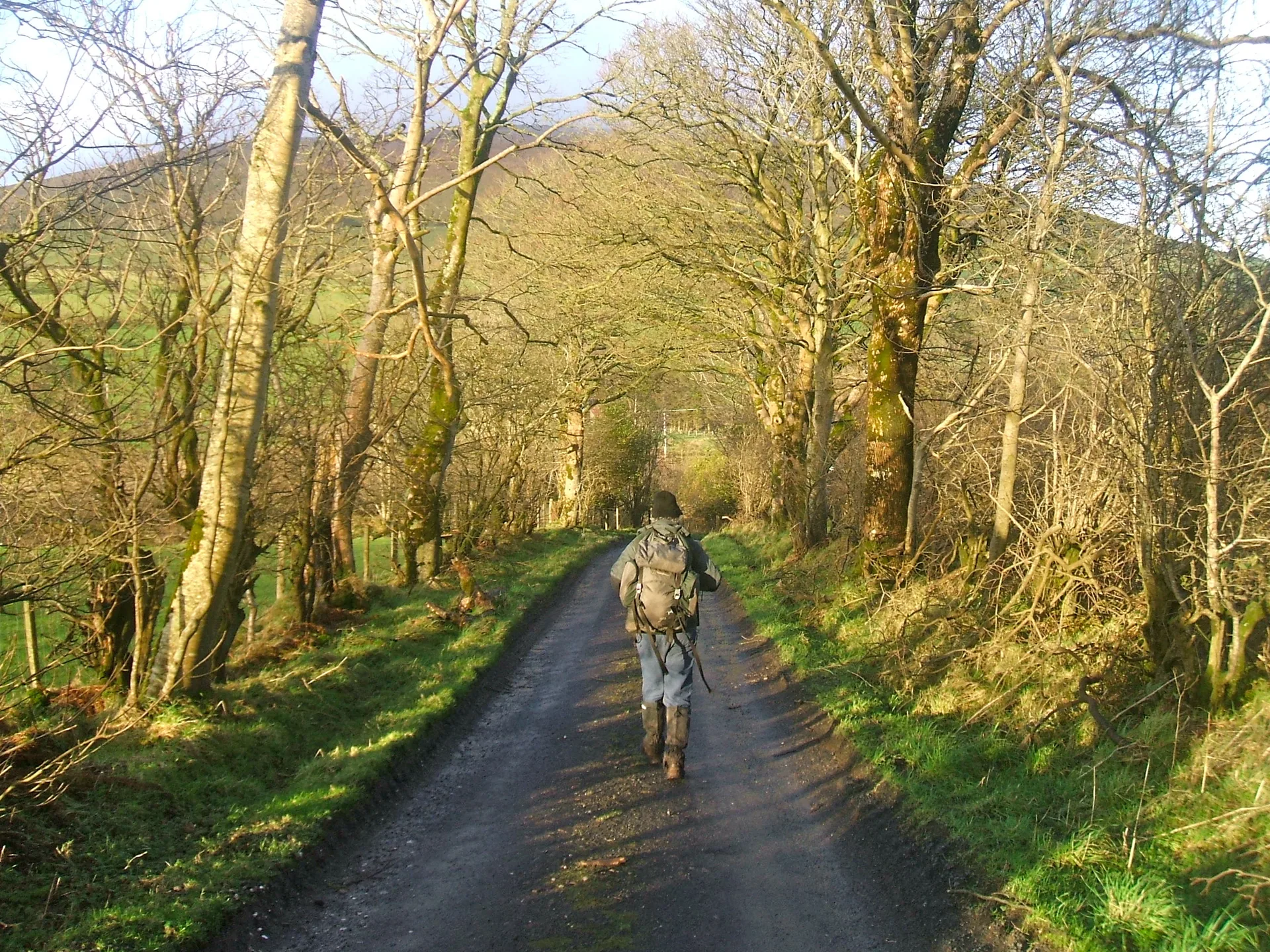 Walking holiday Ireland — gallery image 5