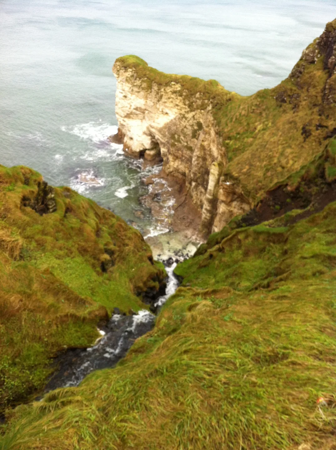 Dog-friendly walking route in County Antrim with coastal views