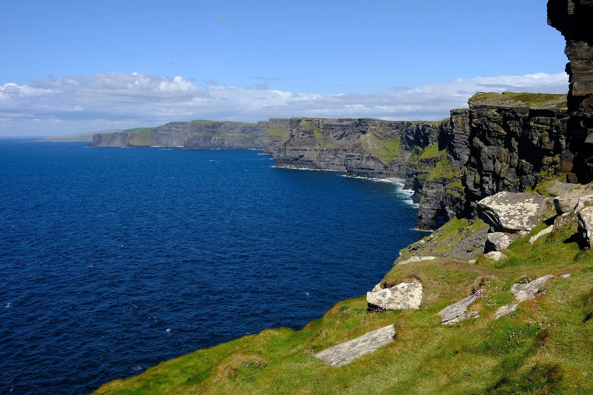 Cliffs of Moher with sea thrift wildflowers on Ireland's Wild Atlantic Way