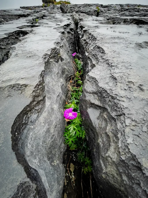 Walking holiday Ireland — gallery image 2
