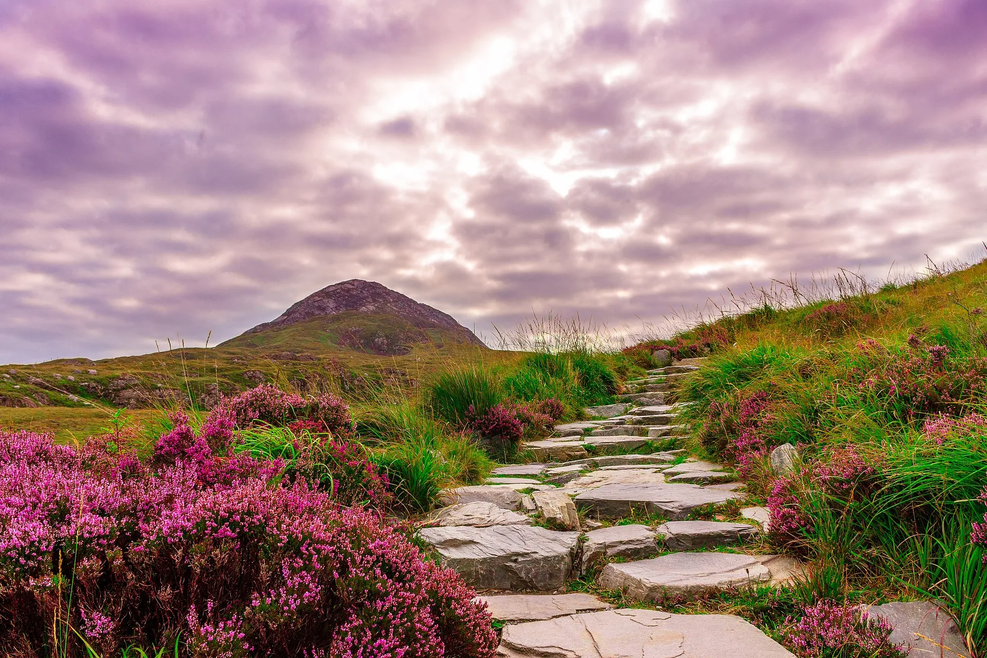 Walking holiday Ireland — gallery image 1