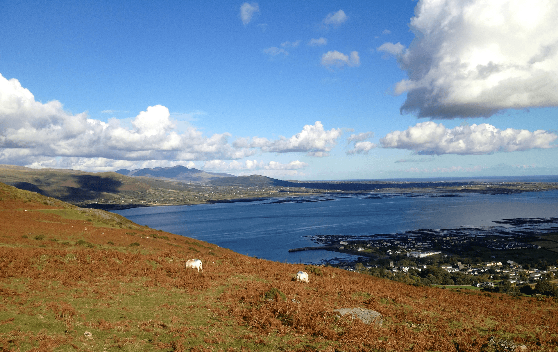 Walking holiday Ireland — gallery image 5
