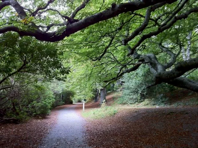 Walking holiday Ireland — gallery image 8
