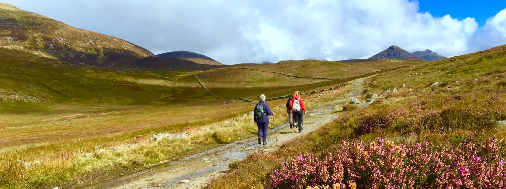 Walking holiday Ireland — gallery image 3