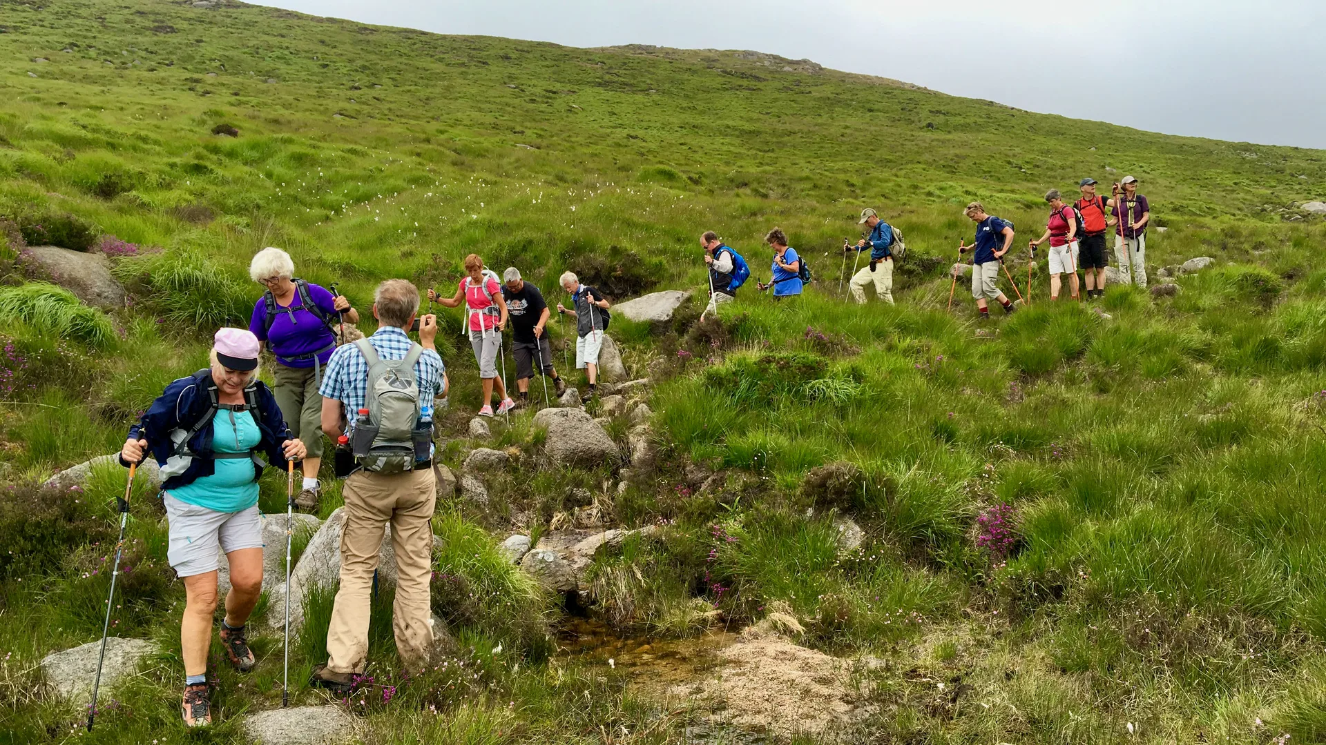 Nordic Walking: A Complete Guide to Technique, Benefits, and Getting Started