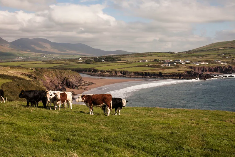 Walking holiday Ireland — gallery image 3
