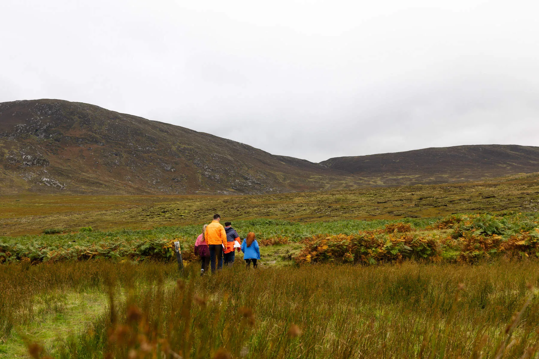 Walking holiday Ireland — gallery image 4