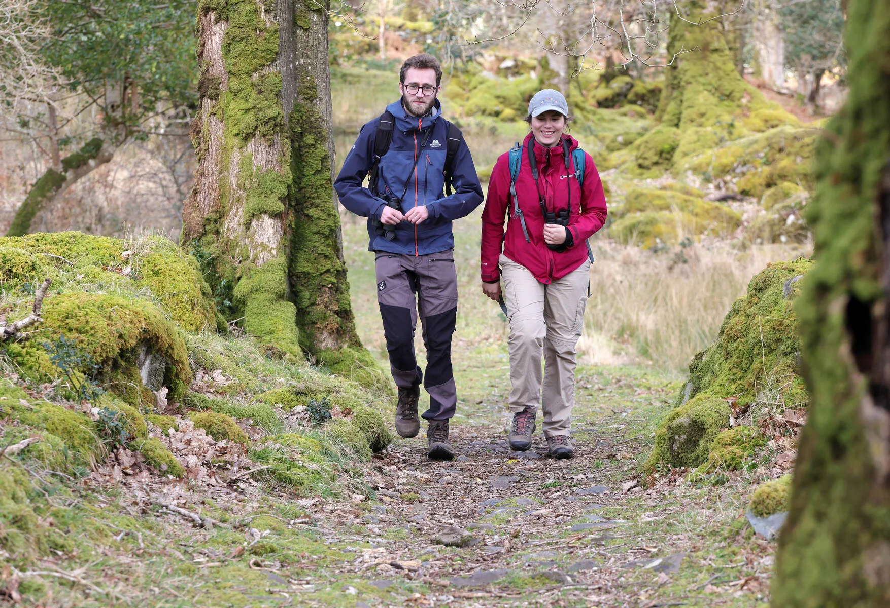 Walking holiday Ireland — gallery image 4