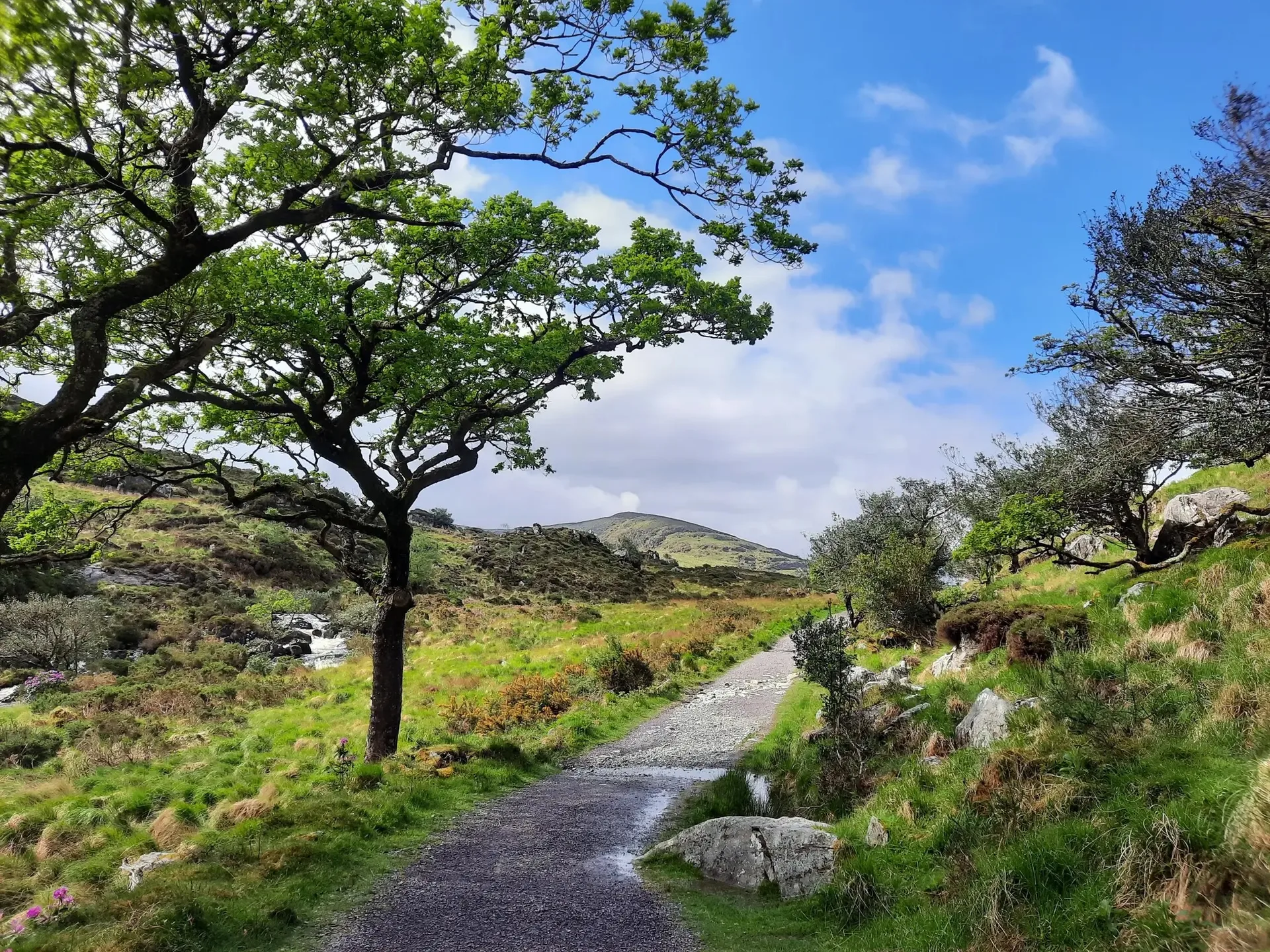 The Challenge of Sneem to Kenmare