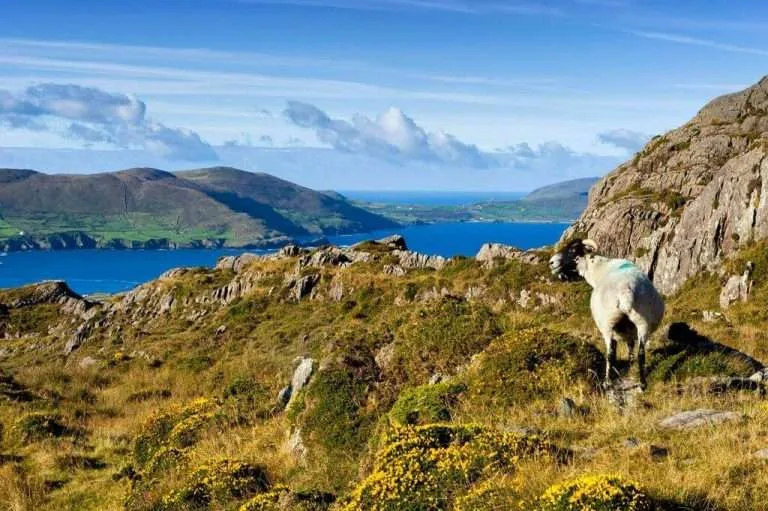 Walking holiday Ireland — gallery image 11