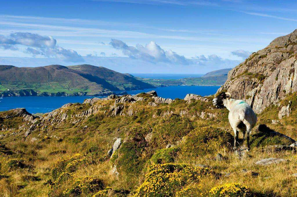 Walking holiday Ireland — gallery image 6