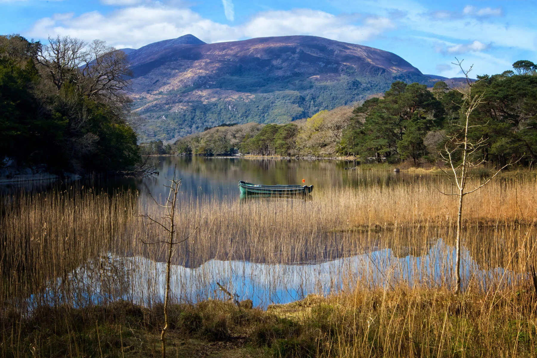 Walking holiday Ireland — gallery image 2