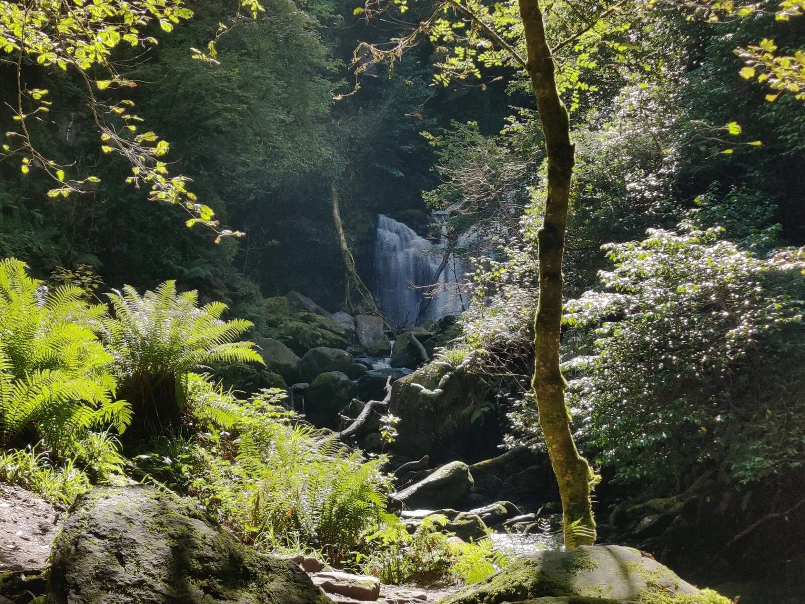 Walking holiday Ireland — gallery image 1