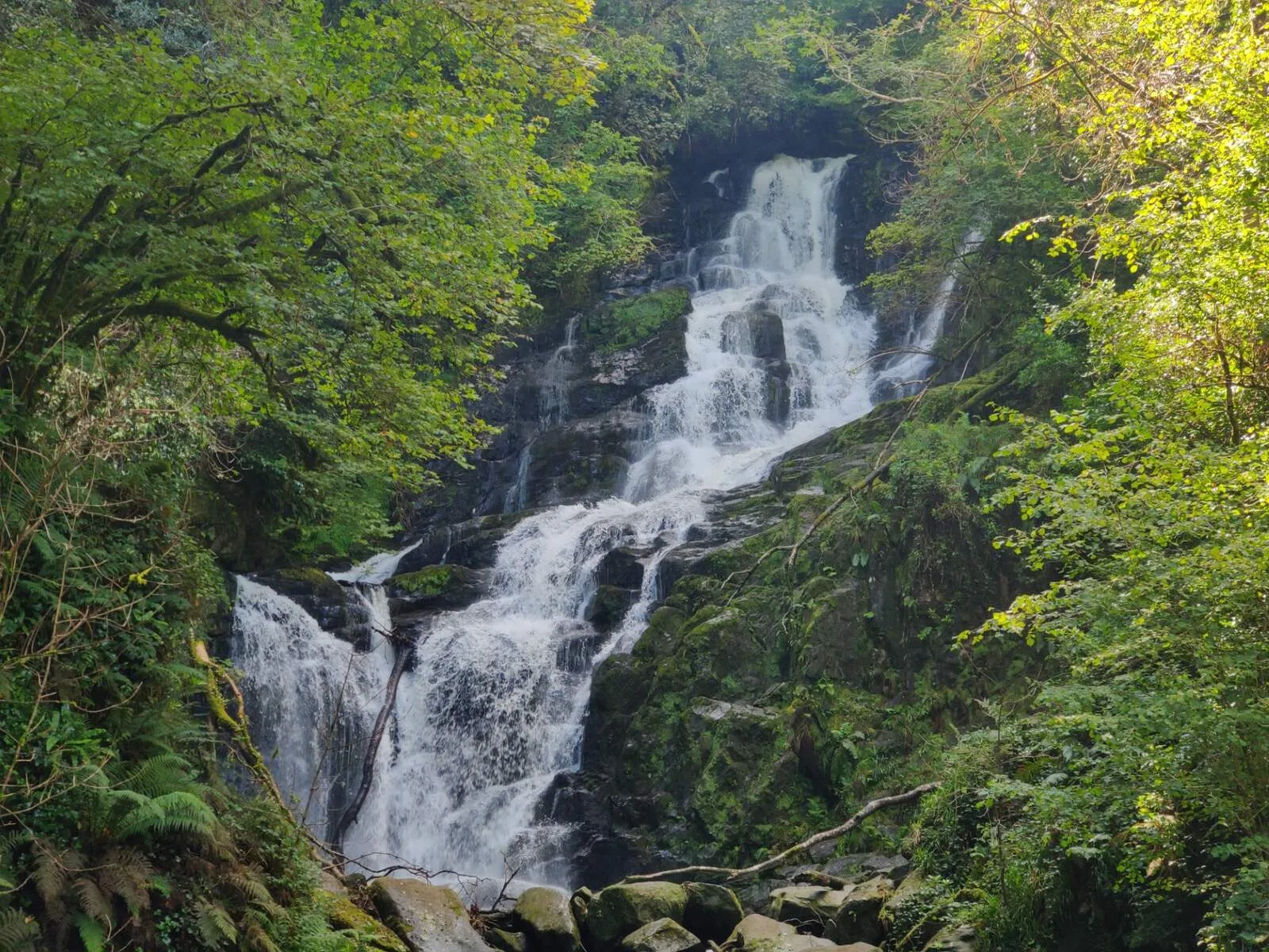 Torc Waterfall & Muckross House