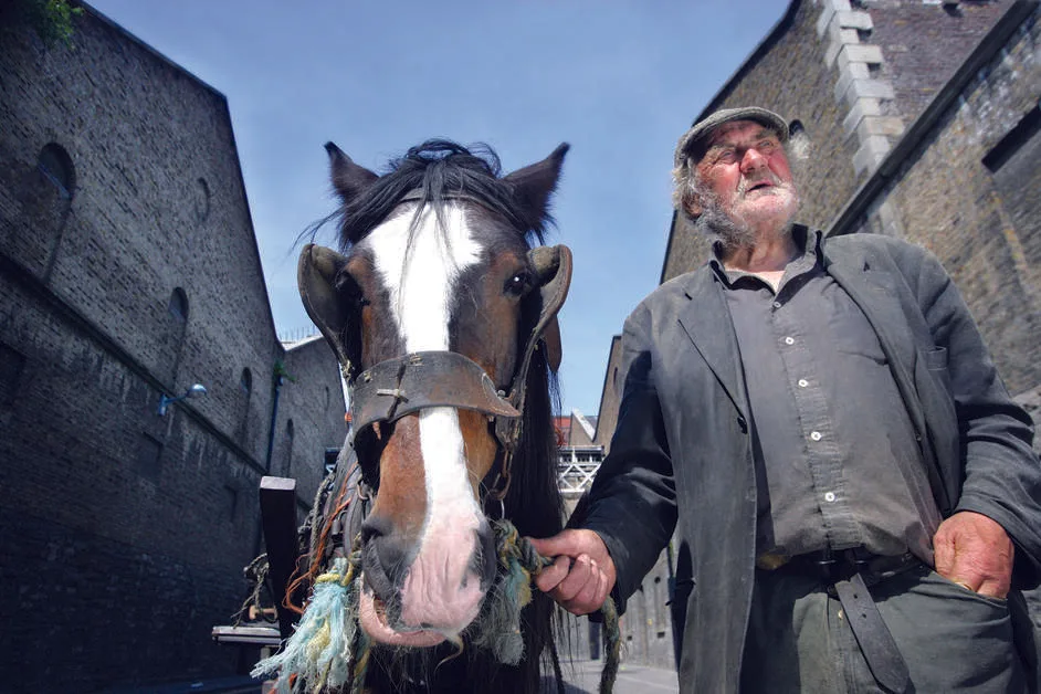 Walking holiday Ireland — gallery image 8