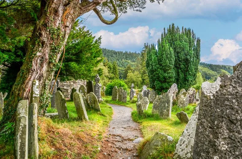 Walking holiday Ireland — gallery image 8