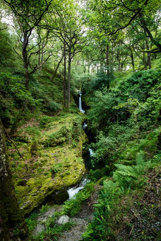 Walking holiday Ireland — gallery image 8