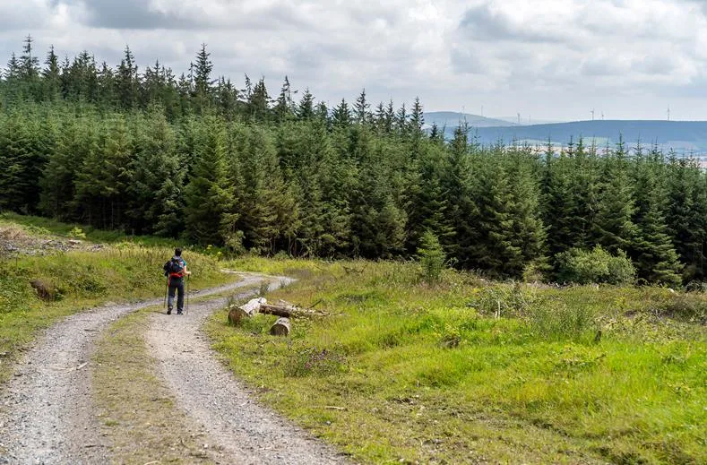 Walking holiday Ireland — gallery image 2
