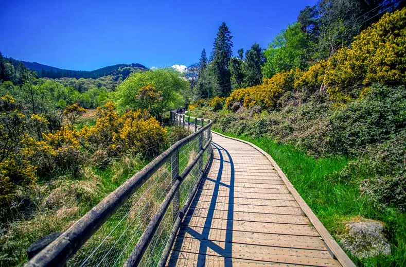 Walking holiday Ireland — gallery image 6