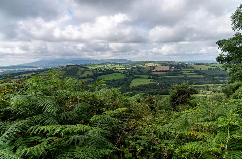 Walking holiday Ireland — gallery image 2