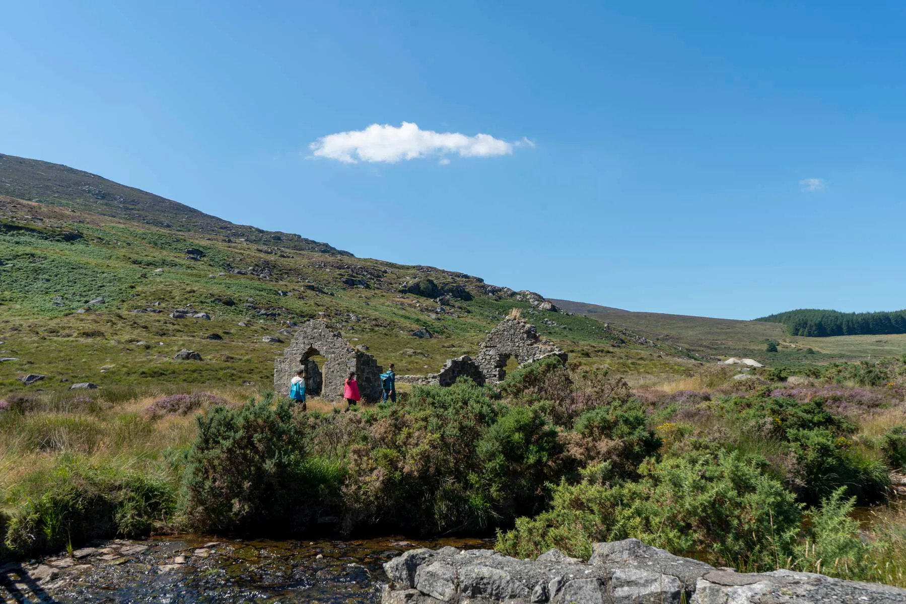 Walkers on a woodland trail in Glendalough, Wicklow National Park