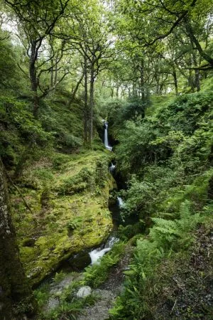Walking holiday Ireland — gallery image 3